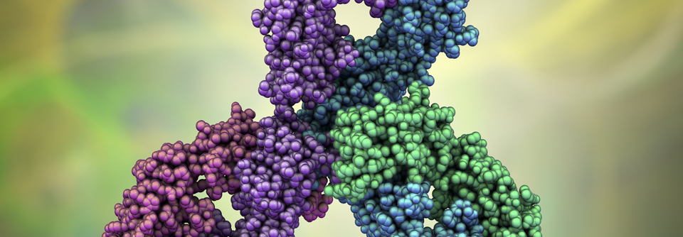  Am deutlichsten profitierten Patientinnen aus der RCB-2-Kategorie von dem PD1-Inhibitor.