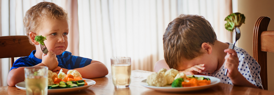 Eine vegetarische Ernährung schmeckt vielleicht nicht jedem Kind, schädlich ist sie aber keineswegs.