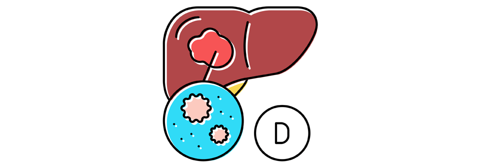 Das Hepatitis-D-Virus kann sich nur mit Hilfe des Oberflächenproteins HBsAg der B-Variante vermehren.