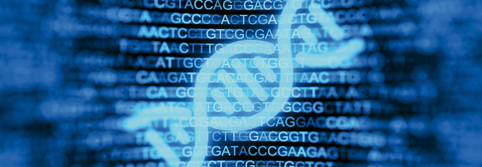 Rund jeder zweite Lungentumor weist eine Mutation auf. Meist sind es Veränderungen in den Genen für KRAS oder EGFR. 