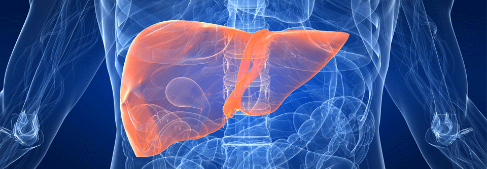 Außer PLIN2 fließen in den Algorithmus die Parameter Bauchumfang, Triglyzeride, Alanin-Aminotransferase (ALT) und das Vorliegen eines Diabetes ein.