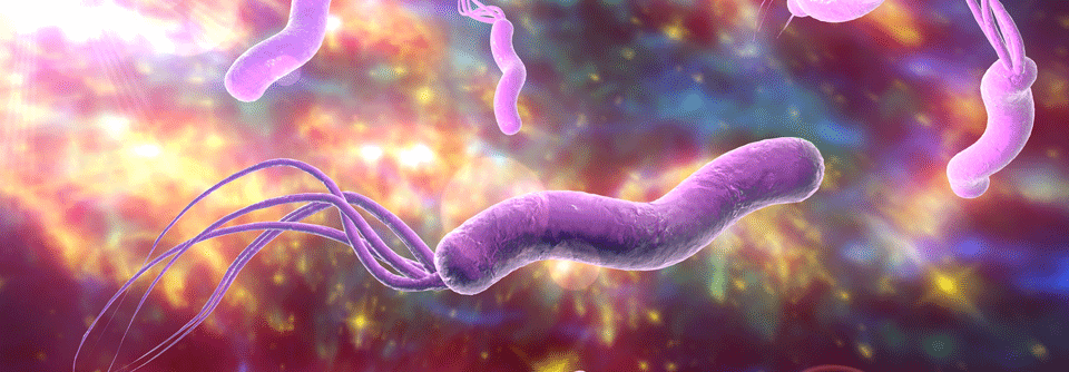 Helicobacter pylori können teils ganz schön hartnäckig sein. Resistenzen sind nicht selten.