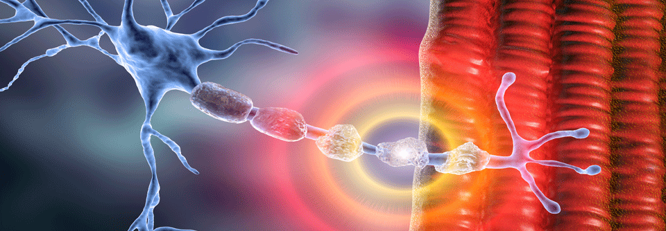 Fragebogen helfen, anhand von Schmerzqualität und anderen Symptomen zwischen neuropathischem und nicht-neuropathischem Schmerz zu differenzieren.