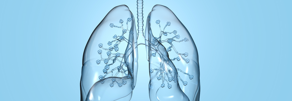 Eine unauffällige Spirometrie schließt ein Asthma nicht aus.