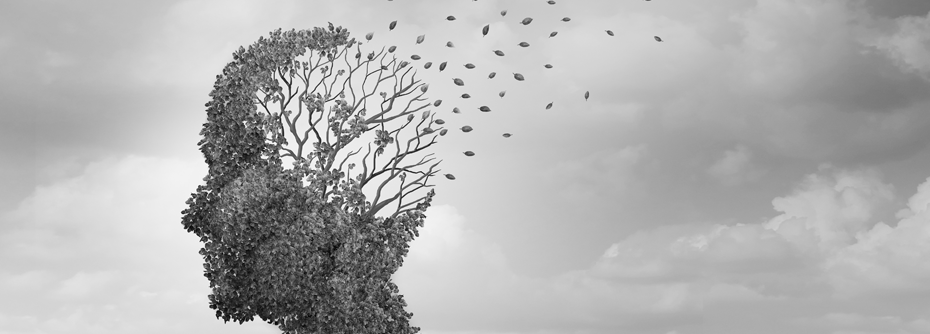 Passive Immuntherapien sollen in Zukunft  pathologische Proteinablagerungen aus dem Gehirn entfernen.