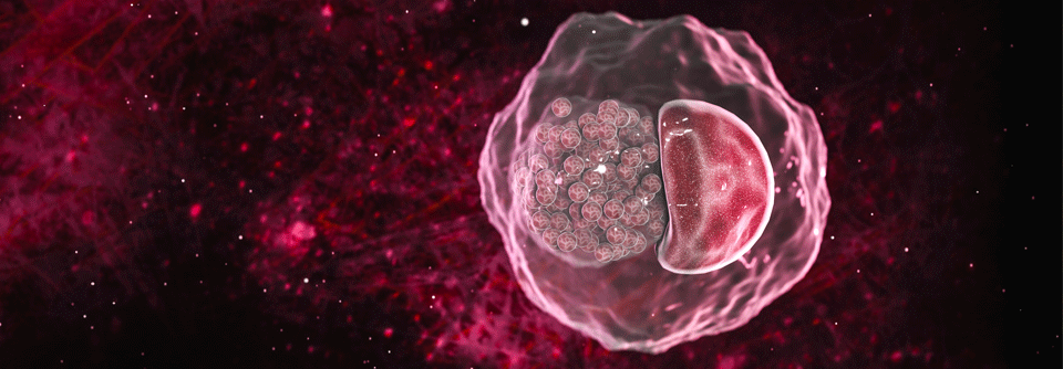 Der aktuelle Abstrich war für Chlamydia trachomatis positiv.