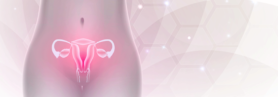 Das Risiko für uterine Neoplasien wird bei postmenopausalen Frauen durch Tamoxifen erhöht. 
