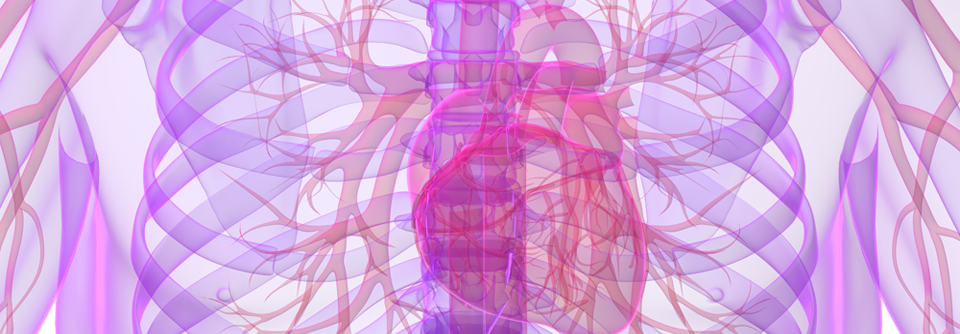 Um einem SCD in den ersten Monaten vorzubeugen, kommt zur Überbrückung das Tragen der Defibrillatorweste infrage. 