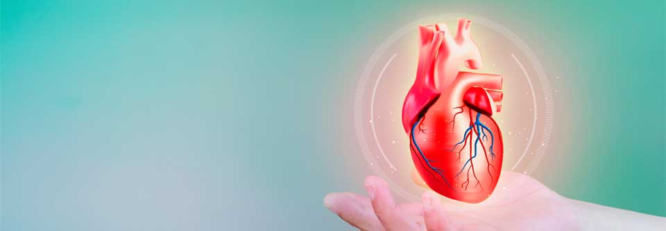 Die europäische Herzinsuffizienzleitlinie wurde überabeitet, nun sollen Herzkranke schnellstmöglich vier Medikamente erhalten, am besten alle auf einmal.