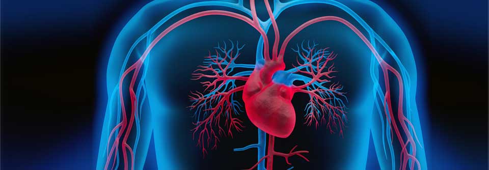 Der Einsatz von PCSK9-Inhibitoren kann die kardiovaskuläre Prävention verbessern, wobei sich der Nutzen für die LDL-Senkung mit zunehmender Therapiedauer erhöht.