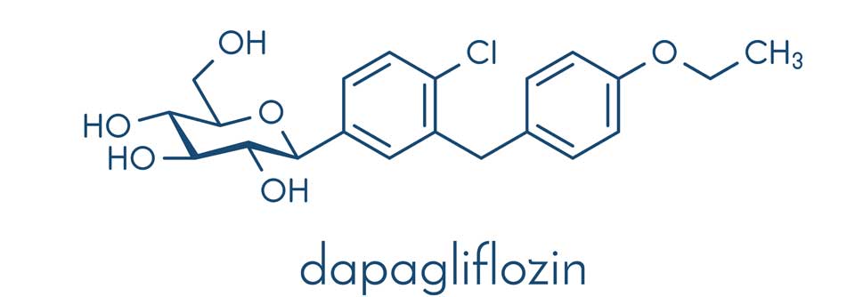 Der SGLT-2-Inhibitor entfernt überschüssige Glukose aus den Zellen und induziert die bei Typ-2-Diabetes erwünschte Glukosurie.