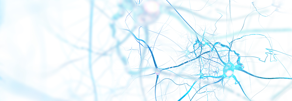 Rund 1 % der Bevölkerung in Deutschland sind von einer Epilepsie betroffen.