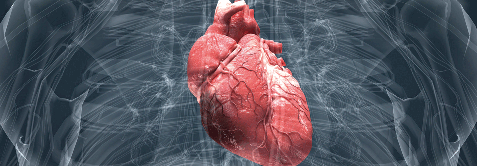 Das Risiko für einen plötzlichen Herzstillstand lag für Diabetiker 1,5-mal höher als für Stoffwechselgesunde.