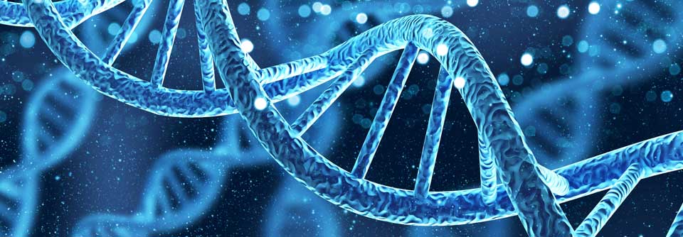 Zukunft der Gentherapie Derzeit laufen einige Gentherapie-Studien - sie bieten potenziell Chancen genetische Krankheiten kausal zu behandeln.