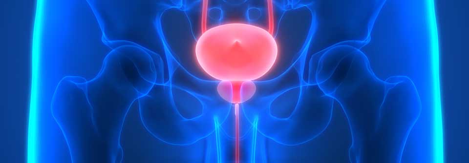 Eine cCR nach neoadjuvanter Therapie
zeigt positive Ergebnisse hinsichtlich des metastasenfreien Zwei-Jahres- und Gesamtüberlebens.