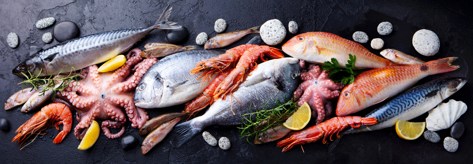 Der Verzehr von Seefisch und Meeresfrüchten beugt offenbar chronischen Nierenerkrankungen vor. 