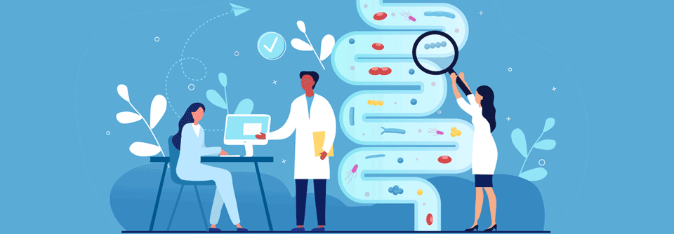 Studien prüfen, ob sich die Zusammensetzung des Darmmikrobioms auf die Effektivität einer CAR-T-Zell-Therapie bei Patient:innen mit Multiplem Myelom auswirkt.