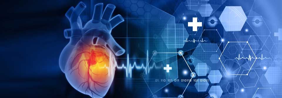 Präzise Prädiktionsmodelle sollen helfen, das kardiovaskuläre Risiko onkologischer Patient:innen besser einschätzen zu können.