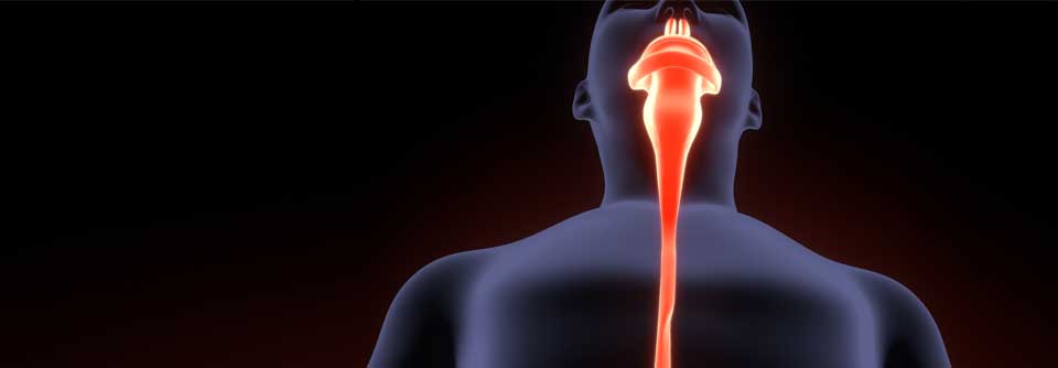 Gastrointestinale Tumore können in verschiedenen Kombinationen aus dem Checkpoint-Inhibitor Nivolumab und anderen Optionen behandelt werden.