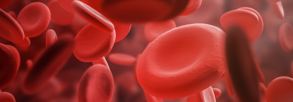 Bei der Hämophilie, auch Bluterkrankheit genannt, handelt es sich um eine Blutgerinnungsstörung.