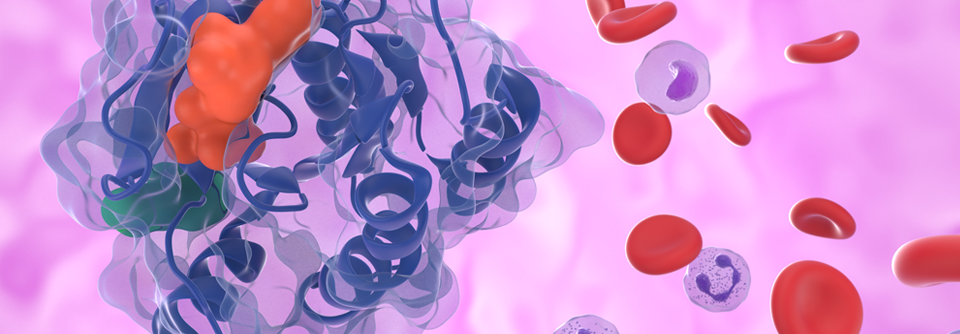 Durvalumab verbesserte das ereignisfreie Überleben in der Phase-III-Studie AEGEAN signifikant Die Studie wird wie geplant fortgesetzt, um wichtige sekundäre Endpunkte wie das krankheitsfreie Überleben (DFS) und das Gesamtüberleben (OS) zu untersuchen.