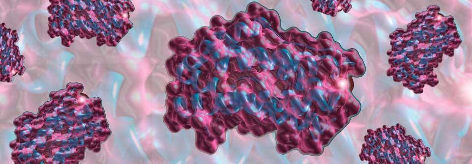 IL-6 ist involviert in die embryonale Entwicklung, in das Zellwachstum, bei der Hämatopoese, im Knochenstoffwechsel und bei der Inflammation.