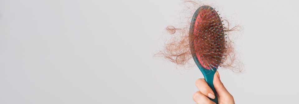 Man geht davon aus, dass die Ursache der Alopezie im Zusammenbruch des Immunprivilegs der Haarfollikel liegt. 