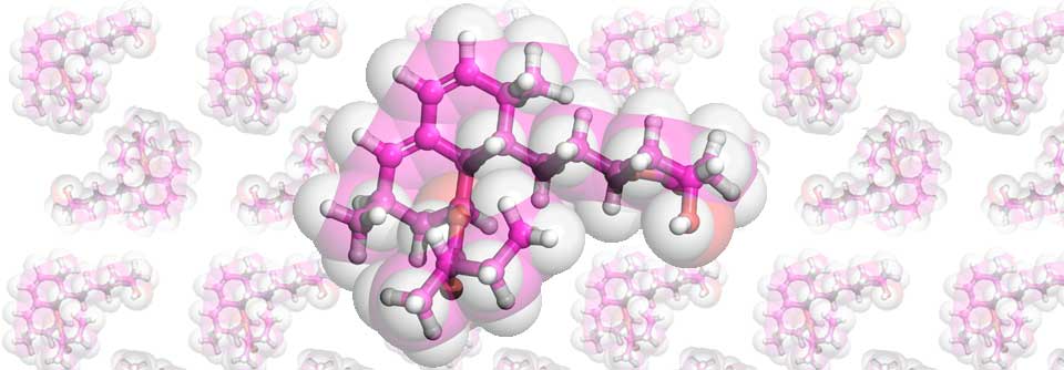 Lovastatin wirkt auch ohne Cholesterol, wie eine aktuelle Studie zeigen konnte.