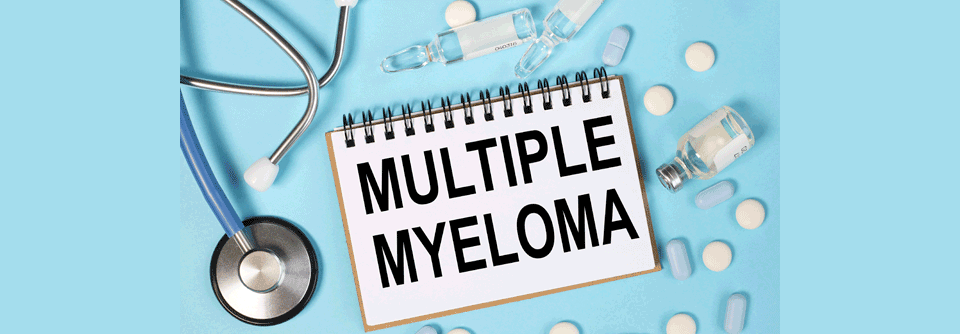 Eine effektive Option für die Therapie des Multiplen Myeloms sind bisspezifische Antikörper. Forschende wollen nun herausfinden, ob eine Kombination zweier Bispecifis ebenfalls von Vorteil sein kann.