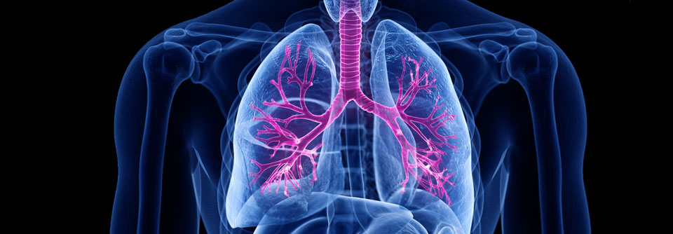 Elebrato® Ellipta® kann zur Verbesserung der Lungenfunktion bei COPD-Patient:innen eingesetzt werden.