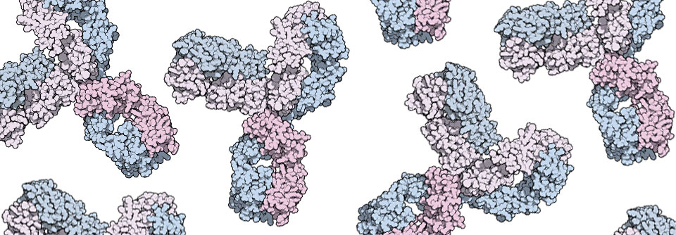 Mittlerweile ist Pembrolizumab bei 26 Indikationen zugelassen.