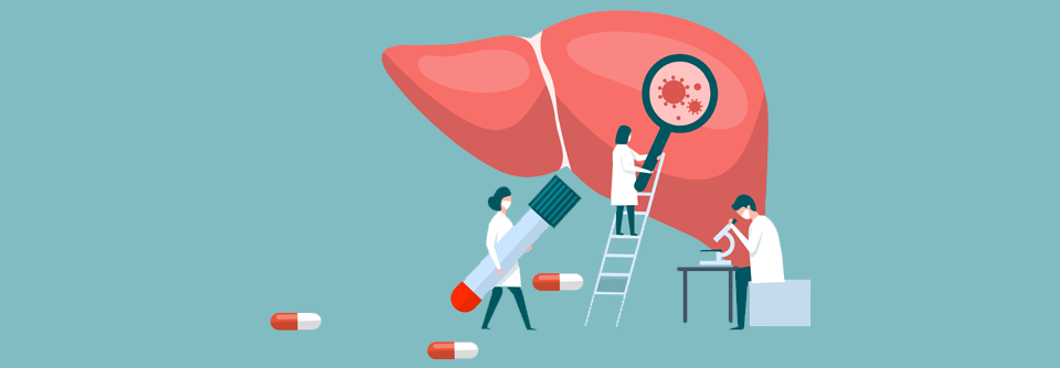 Auch Mittelmeer-Reisende gegen Hepatitis A schützen Um sich vor einer Hepatitis A-Infektion zu schützen, stehen Havrix® oder Twinrix® auf dem Markt zur Verfügung.