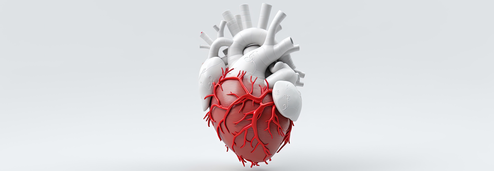 Medikamente zur Behandlung der Herzinsuffizienz sollten in Abhängigkeit von Komorbiditäten gewählt werden.