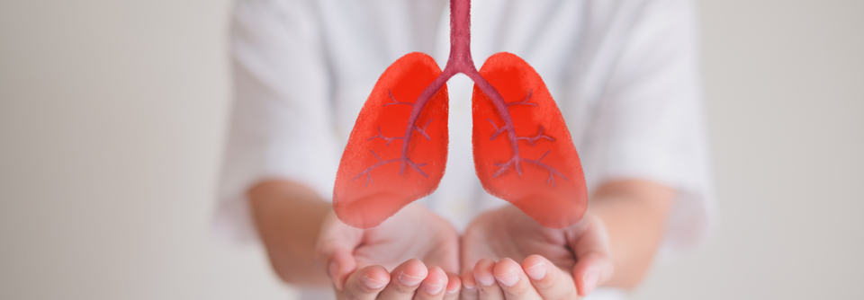 Für Lungentransplantationen gibt es auch Kontraindikationen, z.B. ein Schlaganfall oder Herzinfarkt im Monat vor der OP.