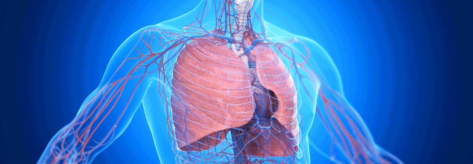 Eine Kombinationstherapie erbrachte einen deutlichen Überlebensvorteil gegenüber der Chemotherapie beim NSCLC.