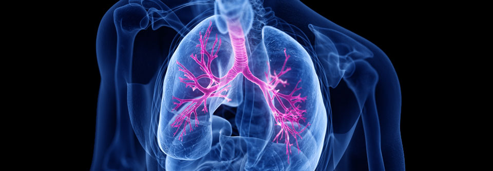 Der BARS (Biologics Asthma Response Score) wurde eingeführt, um das Ansprechen auf Biologika standardisiert bewerten zu können.