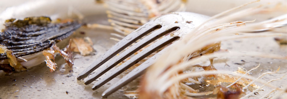 Fischknochen können die Magenwand perforieren und eine Gastritis auslösen.