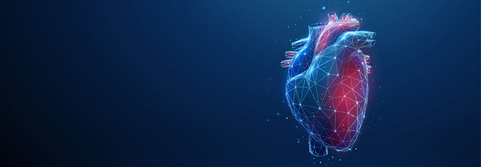 Viele Leitlinien der Kardiologie wurden aktualisiert und auf dem ESC 2023 vorgestellt.
