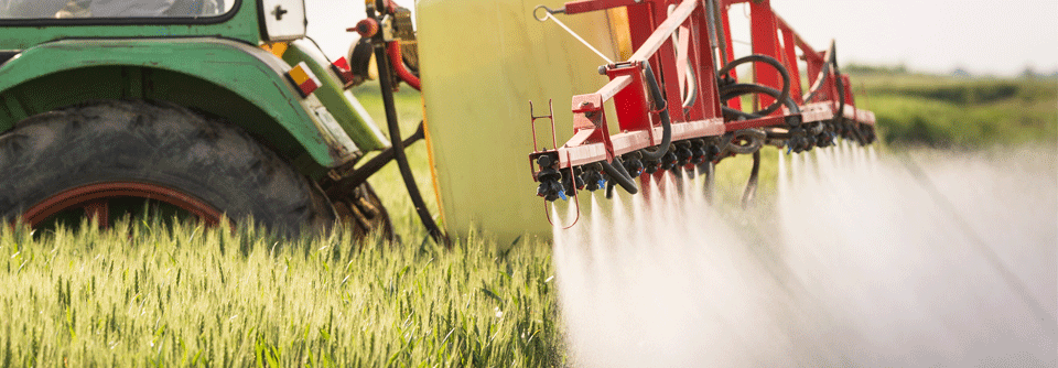 Auch wer sich nicht in der direkten Umgebung des mit Pestiziden behandelten Feldes lebt, könnte Schäden davontragen.