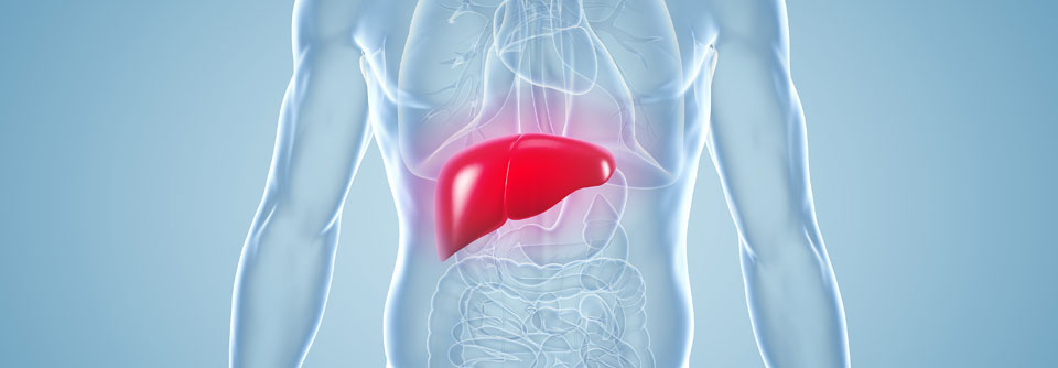 Leberwerte stets im klinischen Kontext interpretieren Erhöhte Leberwerte werden nach cholestatischem und hepatozellulärem Muster unterschieden.
