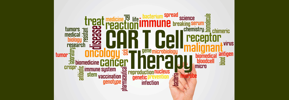 CAR-T-Zellen können durch eine gezielte Anpassung auch gegen  andere Entitäten Wirkung zeigen.