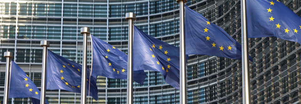 Die Europäische Kommission arbeitet eng mit nationalen Wettbewerbsbehörden zusammen.