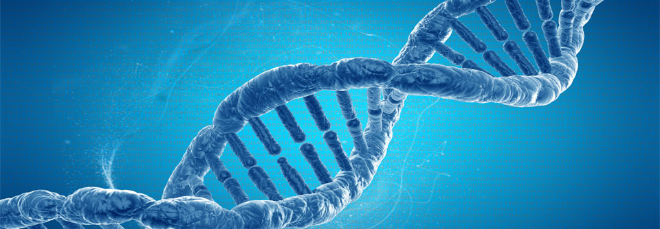 Beim CAPP-Sequencing wird die Plasma-DNA ultrahoch sequenziert und ermöglicht es spezifische Mutationen zu identifizieren.