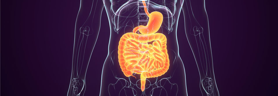 Die Zulassung des Checkpoint-Inhibitors für diese Indikation erfolgte im August 2023.