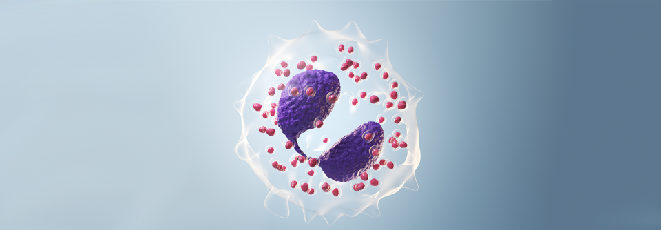 Patienten mit hoher Eosinophilenzahl profitieren von einer sofortigen Tripletherapie.