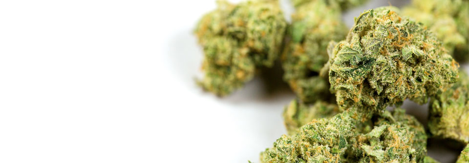 Seit 2018 ist es in Kanada legal, Cannabis zu besitzen und anzubauen.
