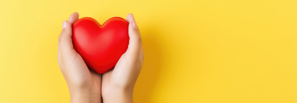 Die Leitlinien der ESC empfehlen zur Behandlung der Herzinsuffizienz mit reduzierter Ejektionsfraktion eine Vier-Säulen-Therapie.