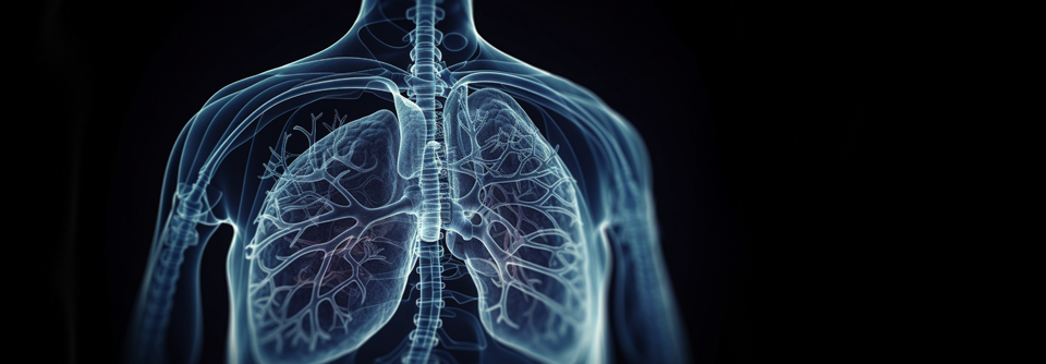 Pneumologische Grunderkrankungen sowie der Gebrauch bestimmter Medikamente erhöhen das Risiko einer rezidivierenden Pneumonie.