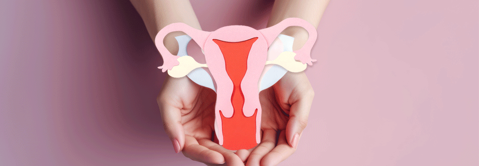 „EU-weit leben ungefähr 14 Millionen Frauen mit Endometriose – einer chronischen Erkrankung, deren schmerzhafte Symptome die Betroffenen erheblich bei ihren Alltagsaktivitäten einschränken können.“