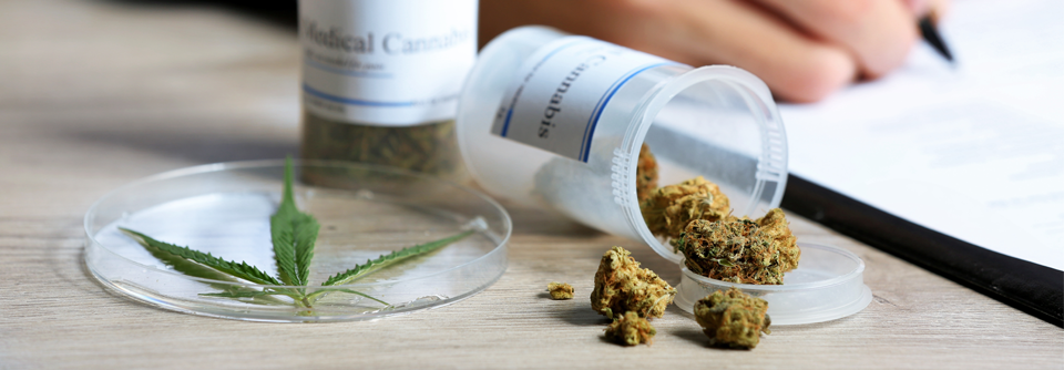 Die Gefahr von Missbrauch und Abhängigkeit bei der Therapie mit Cannabisblüten sollte beachtet werden.